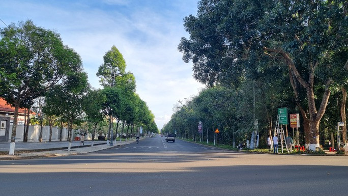 TP Buôn Ma Thuột phấn đấu nâng tỉ lệ cây xanh trong khu vực nội thị lên 9 m2/người TP Buôn Ma Thuột phấn đấu nâng tỉ lệ cây xanh trong khu vực nội thị lên 9 m2/người