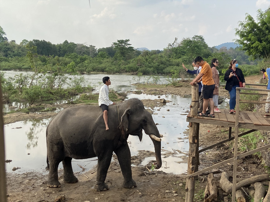 Hoạt động du lịch cưỡi voi ở Yok Đôn (Đắk Lắk) đã từng ảnh hưởng nghiêm trọng đến cuộc sống của loài voi nơi đây. Ảnh: Cổng TTĐT tỉnh Đắk Lắk Hoạt động du lịch cưỡi voi ở Yok Đôn (Đắk Lắk) đã từng ảnh hưởng nghiêm trọng đến cuộc sống của loài voi nơi đây. Ảnh: Cổng TTĐT tỉnh Đắk Lắk