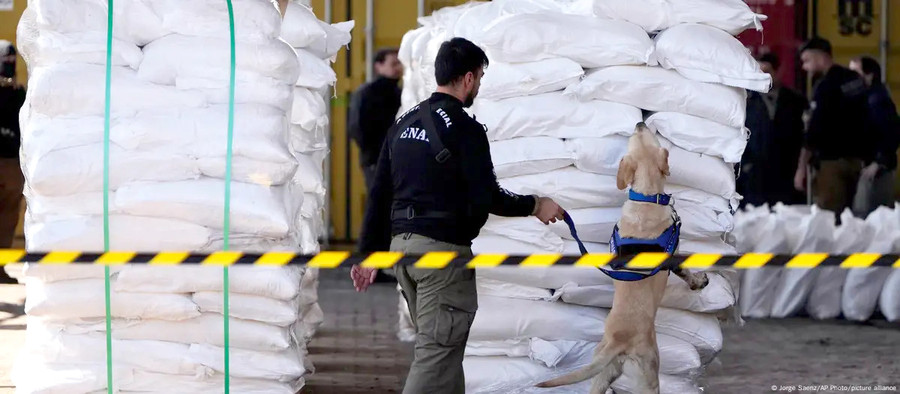 Paraguay phát hiện hơn 4 tấn cocaine giấu trong bao đường (ảnh nguồn ANTDO)