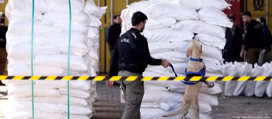 Paraguay phát hiện hơn 4 tấn cocaine giấu trong bao đường (ảnh nguồn ANTDO)