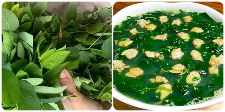 Rau ngót tốt cho sức khoẻ nhưng không nên ăn hàng ngày Rau ngót tốt cho sức khoẻ nhưng không nên ăn hàng ngày