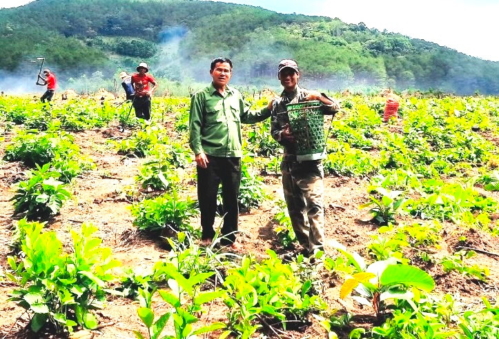Ông Đào Duy Thức (bìa trái)-Chủ tịch CĐCS Ban Quản lý rừng phòng hộ Hà Ra (huyện Mang Yang) hướng dẫn đồng bào dân tộc thiểu số phát triển kinh tế gia đình. Ảnh: Đinh Yến
