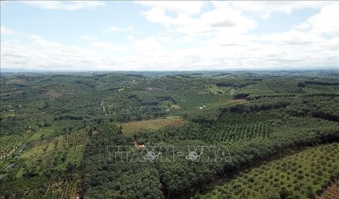 Một khu vực thuộc địa phận huyện Đắk R’lấp, tỉnh Đắk Nông, nơi dự kiến đường cao tốc Gia Nghĩa (Đắk Nông) - Chơn Thành (Bình Phước) đi qua. (Ảnh: Hưng Thịnh/TTXVN) Một khu vực thuộc địa phận huyện Đắk R’lấp, tỉnh Đắk Nông, nơi dự kiến đường cao tốc Gia Nghĩa (Đắk Nông) - Chơn Thành (Bình Phước) đi qua. (Ảnh: Hưng Thịnh/TTXVN)