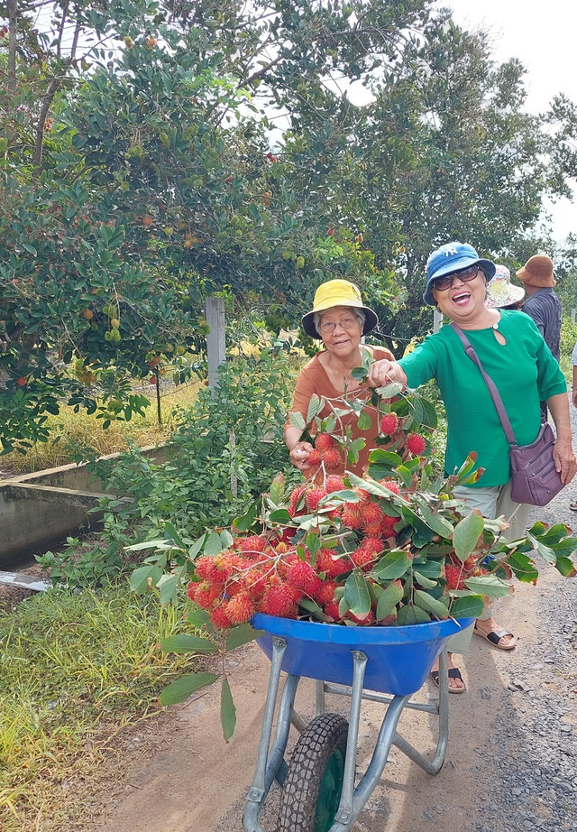 Khách lớn tuổi cũng thích trải nghiệm ở vườn Khách lớn tuổi cũng thích trải nghiệm ở vườn