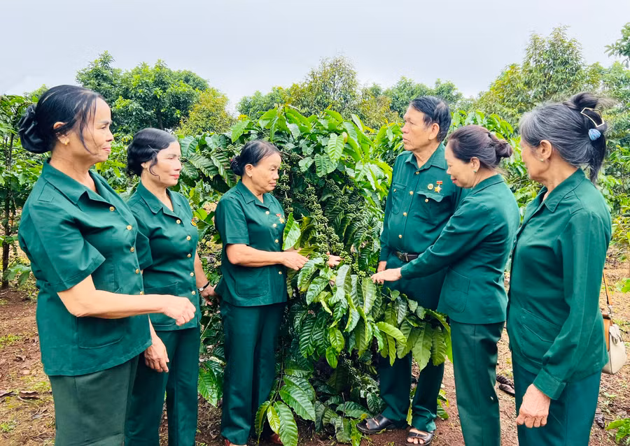 Hội viên Hội Cựu thanh niên xung phong huyện Chư Sê tham quan mô hình kinh tế của bà Đỗ Thị Đoàn (thứ 3 từ trái sang). Ảnh: M.N