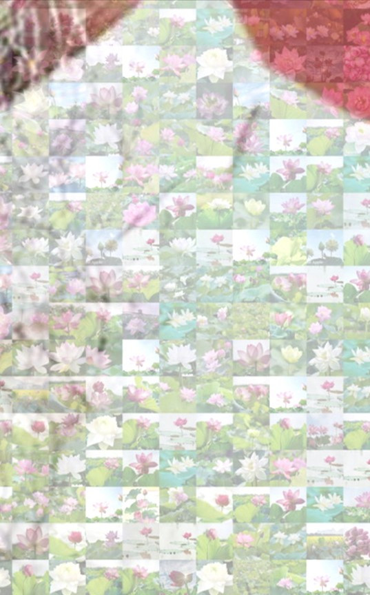 &quot;Chân dung Bác Hồ&quot; được ghép từ hàng ngàn tấm ảnh hoa sen