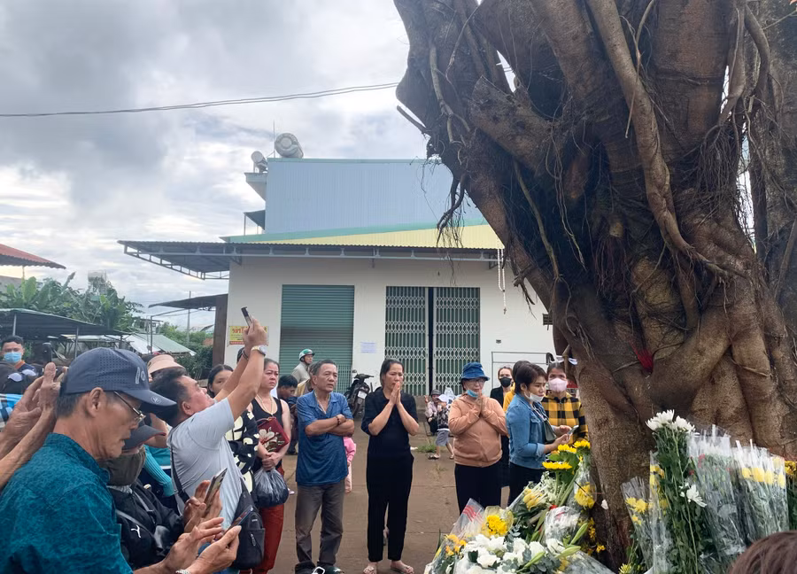 Nhiều người dân hiếu kỳ đến gốc cây si ở chợ xã Nghĩa Hưng (huyện Chư Păh) để quay phim, chụp hình, cầu nguyện. Ảnh: R.H