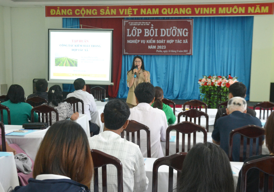Lớp Bồi dưỡng nghiệp vụ kiểm soát HTX năm 2023 tại TP. Pleiku. Ảnh: H.M