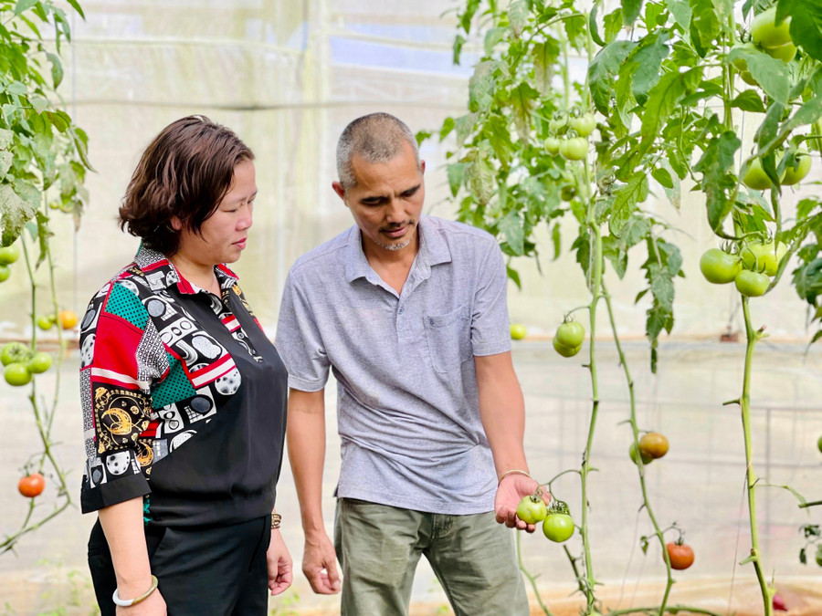 Gia Lai đang phát triển du lịch trên nền tảng nông nghiệp sạch. Ảnh: Trần Dung Gia Lai đang phát triển du lịch trên nền tảng nông nghiệp sạch. Ảnh: Trần Dung