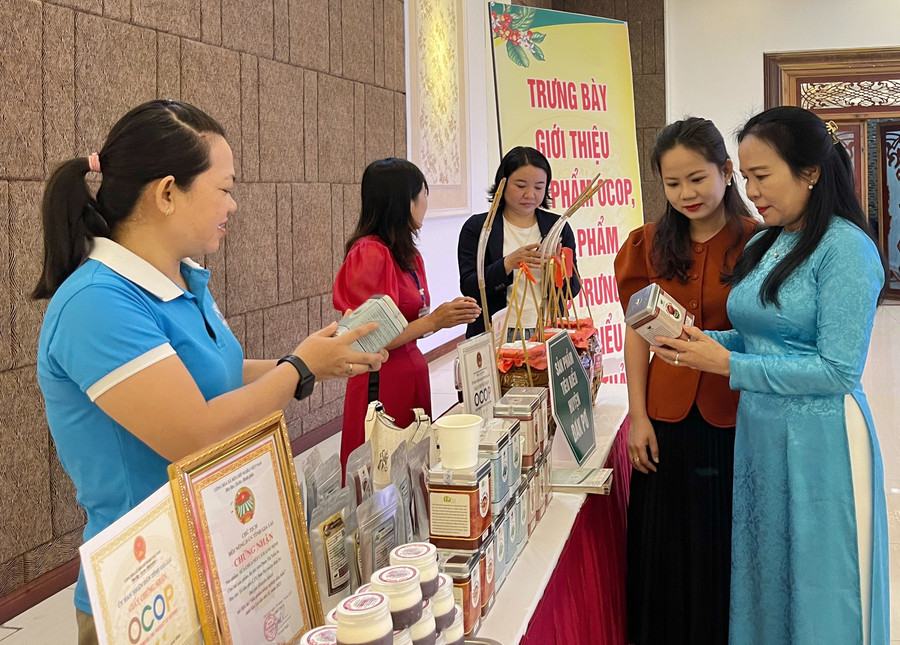 Đại biểu dự hội thảo tham quan các sản phẩm OCOP của phụ nữ tỉnh Gia Lai. Ảnh: Minh Châu