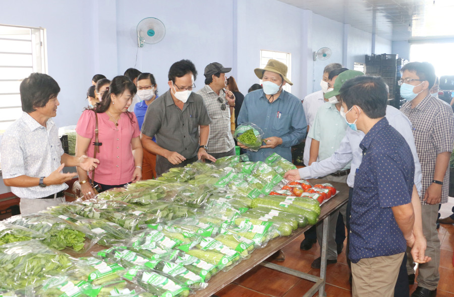 Đoàn giám sát của Thường trực HĐND tỉnh đã chỉ ra những tồn tại, hạn chế trong tái cơ cấu ngành nông nghiệp tỉnh. Ảnh: Q.T Đoàn giám sát của Thường trực HĐND tỉnh đã chỉ ra những tồn tại, hạn chế trong tái cơ cấu ngành nông nghiệp tỉnh. Ảnh: Q.T