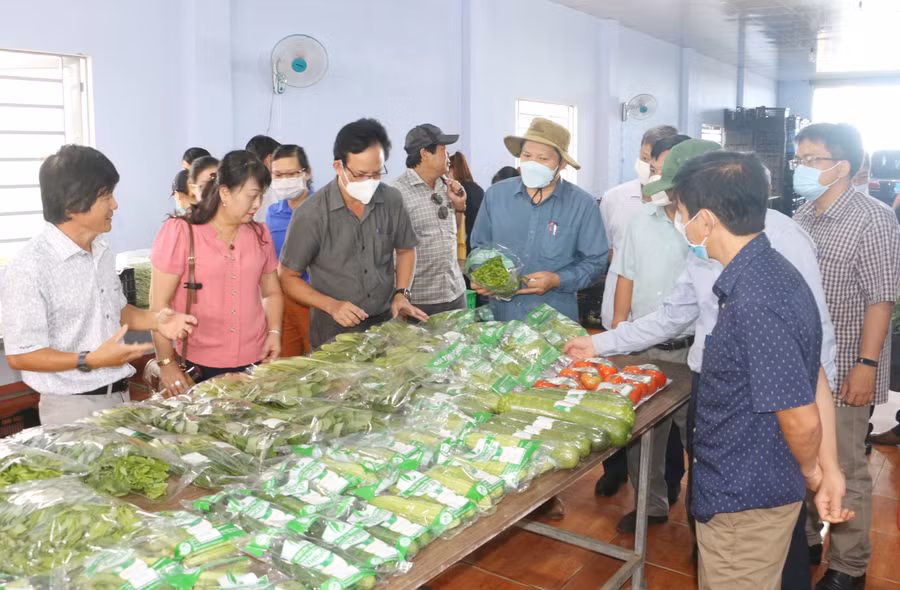 Đoàn giám sát của Thường trực HĐND tỉnh đã chỉ ra những tồn tại, hạn chế trong tái cơ cấu ngành nông nghiệp tỉnh. Ảnh: Q.T