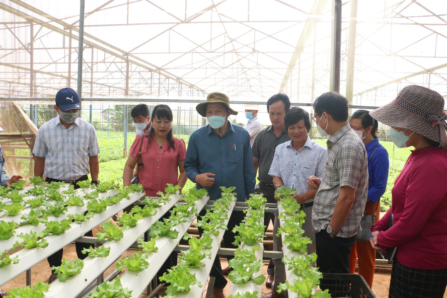 Việc triển khai các chuỗi liên kết, hợp tác còn chậm, chưa bền vững. Ảnh: Quang Tấn Việc triển khai các chuỗi liên kết, hợp tác còn chậm, chưa bền vững. Ảnh: Quang Tấn