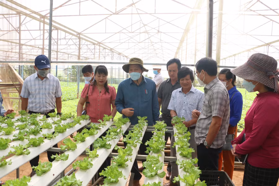 Việc triển khai các chuỗi liên kết, hợp tác còn chậm, chưa bền vững. Ảnh: Quang Tấn