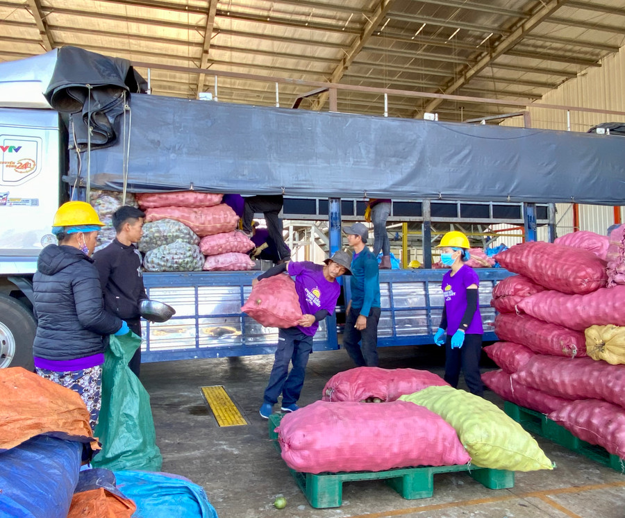 Tập kết chanh dây tại Nhà máy chế biến chanh dây Quicornac. Ảnh: Hà Duy Tập kết chanh dây tại Nhà máy chế biến chanh dây Quicornac. Ảnh: Hà Duy