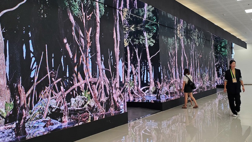 Không gian xanh Eco Valley, nơi bắt đầu của thành phố đổi mới sáng tạo