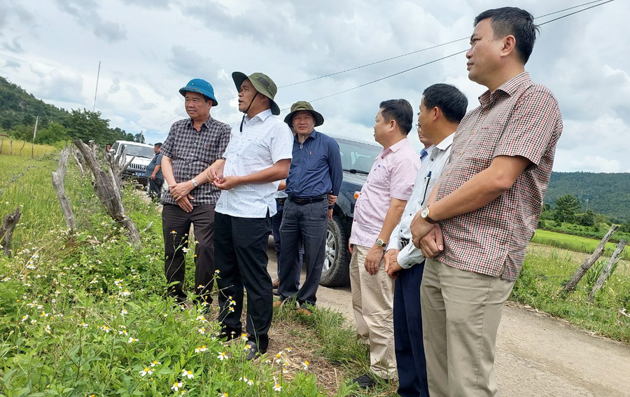 Ủy viên Ban Chấp hành Trung ương Đảng, Bí thư Tỉnh ủy, Chủ tịch HĐND tỉnh Hồ Văn Niên (thứ 2 từ trái sang) kiểm tra thực tế cánh đồng lúa nước hưởng lợi từ công trình thủy lợi Plei Keo (huyện Chư Sê). Ảnh: N.D Ủy viên Ban Chấp hành Trung ương Đảng, Bí thư Tỉnh ủy, Chủ tịch HĐND tỉnh Hồ Văn Niên (thứ 2 từ trái sang) kiểm tra thực tế cánh đồng lúa nước hưởng lợi từ công trình thủy lợi Plei Keo (huyện Chư Sê). Ảnh: N.D