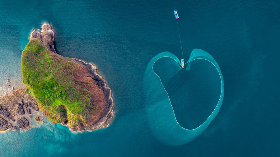 Hệ sinh thái rạn san hô Hòn Yến rất đa dạng, phong phú với 17 loài phân bố trên diện tích khoảng 12,71 ha. San hô ở Hòn Yến nhiều màu sắc, gắn với đặc điểm địa chất, địa mạo, tạo nên nét đặc trưng riêng và trở thành biểu tượng thiên nhiên của Phú Yên