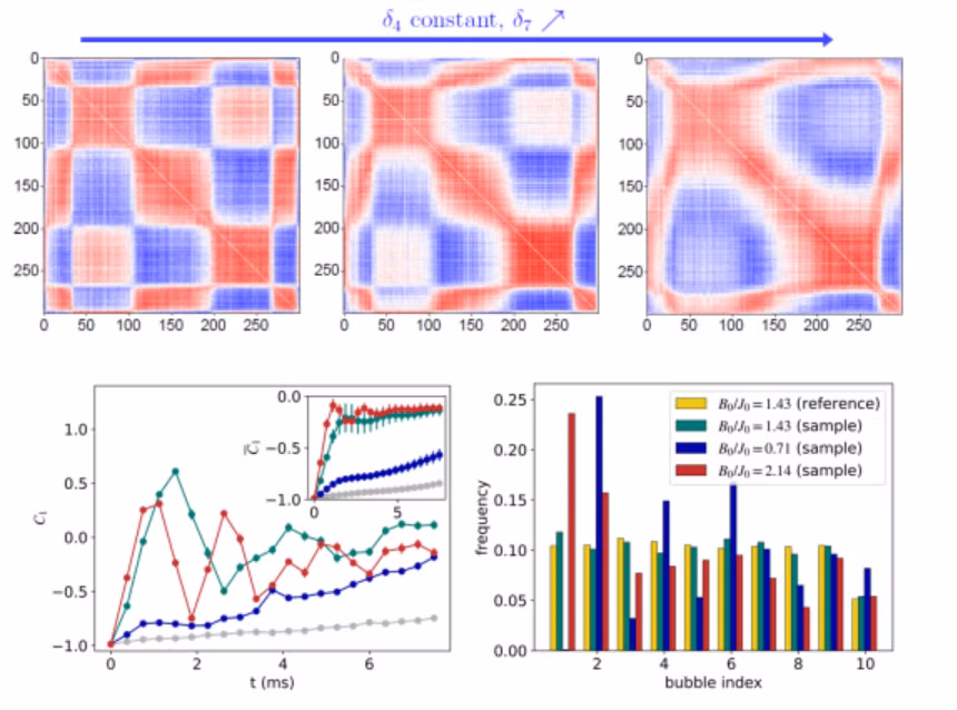 Kết quả mô phỏng lượng tử điển hình của mô hình Ising trường ngang tầm xa 300 ion. (Nguồn: Nature)