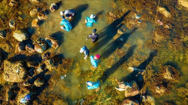 Tuy nhiên, vấn đề rạn san hô Hòn Yến hiện nay đang gặp phải là công tác bảo vệ. &quot;Bà con khu vực này xưa giờ vẫn còn thói quen khai thác các loại thủy hải sản gần bờ làm kế sinh nhai, ít nhiều tác động mạnh đến rạn san hô. Các tổ hoạt động trong xã cũng thường xuyên nhắc nhở, tuyên truyền để người dân dần dần thay đổi ý thức. Đây là nguồn sống của bà con ngư dân, không phải chúng ta nói cấm là cấm được ngay mà phải có thời gian vận động, tập huấn, tuyên truyền và hỗ trợ...&quot;, đại diện chính quyền địa phương chia sẻ