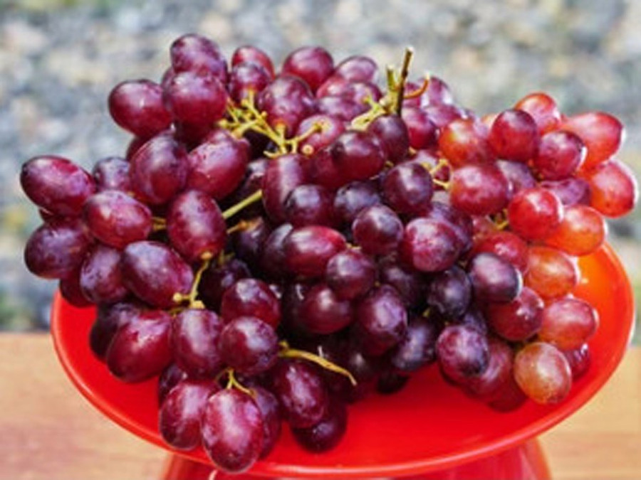 Nho là loại thực phẩm giàu chất xơ hòa tan có thể liên kết với cholesterol trong hệ tiêu hóa. Ảnh: Shutterstock