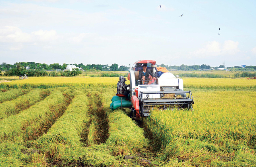 Huyện Phú Thiện có nhiều lợi thế để phát triển nông nghiệp theo hướng đa dạng ngành nghề. Ảnh: Gia An Huyện Phú Thiện có nhiều lợi thế để phát triển nông nghiệp theo hướng đa dạng ngành nghề. Ảnh: Gia An