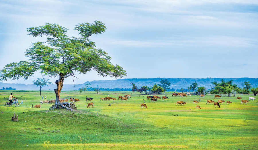 Lòng hồ Ayun (xã Ayun, huyện Chư Sê). Ảnh: Phạm Quý Lòng hồ Ayun (xã Ayun, huyện Chư Sê). Ảnh: Phạm Quý