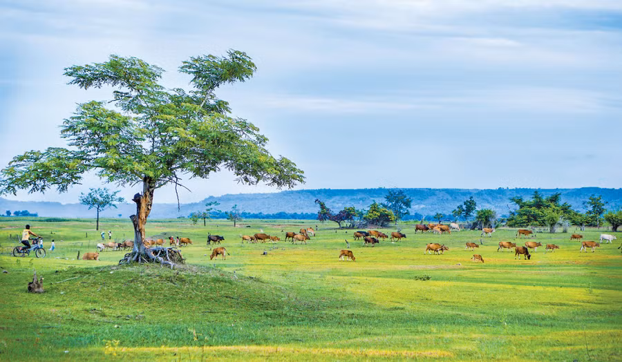 Lòng hồ Ayun (xã Ayun, huyện Chư Sê). Ảnh: Phạm Quý