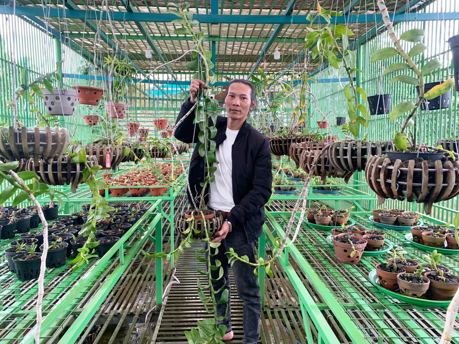 Anh Cao Văn Quyền bên vườn lan của mình. Ảnh: R’Ô HOK Anh Cao Văn Quyền bên vườn lan của mình. Ảnh: R’Ô HOK