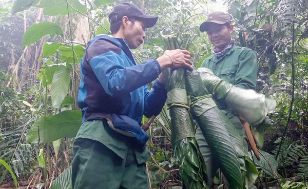 Nhiều loại sản vật khác cũng được nhóm thợ rừng thu hoạch mang về. Nhiều loại sản vật khác cũng được nhóm thợ rừng thu hoạch mang về.
