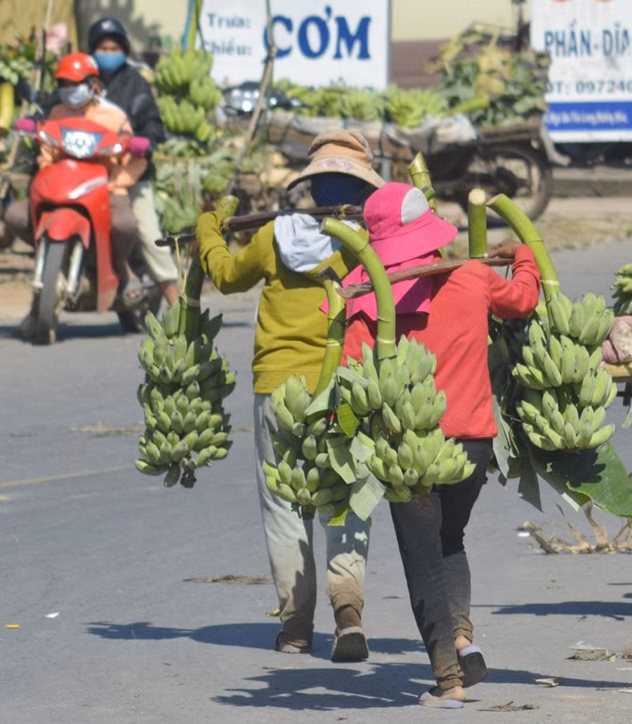 Người dân địa phương chuyển chuối ra ngã ba Tân Long để bày bán. Ảnh: Thanh Lộc