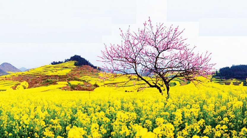 Ảnh minh họa. Nguồn: Internet Ảnh minh họa. Nguồn: Internet