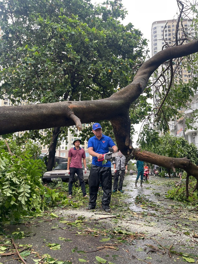 Cùng lực lượng chức năng cưa những cây lớn đổ chắn ngang đường Cùng lực lượng chức năng cưa những cây lớn đổ chắn ngang đường