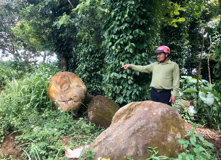 Theo Phó Chủ tịch UBND xã Ia Hrung Ksor Hiếu, người dân trên địa bàn đã chấp hành theo đúng cam kết, để lại đá sau khi cải tạo ruộng vườn. Ảnh: L.N Theo Phó Chủ tịch UBND xã Ia Hrung Ksor Hiếu, người dân trên địa bàn đã chấp hành theo đúng cam kết, để lại đá sau khi cải tạo ruộng vườn. Ảnh: L.N