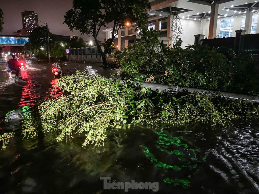 Nước ngập cùng với cây đổ ngổn ngang đã biến việc di chuyển trở thành một thử thách đầy gian nan đối với người dân. Nước ngập cùng với cây đổ ngổn ngang đã biến việc di chuyển trở thành một thử thách đầy gian nan đối với người dân.