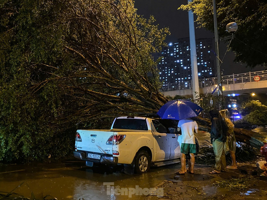 Một chiếc ôtô đang đậu trên phố Phúc La (quận Hà Đông) đã không may bị cây xanh đổ trúng trong cơn bão. Một chiếc ôtô đang đậu trên phố Phúc La (quận Hà Đông) đã không may bị cây xanh đổ trúng trong cơn bão.