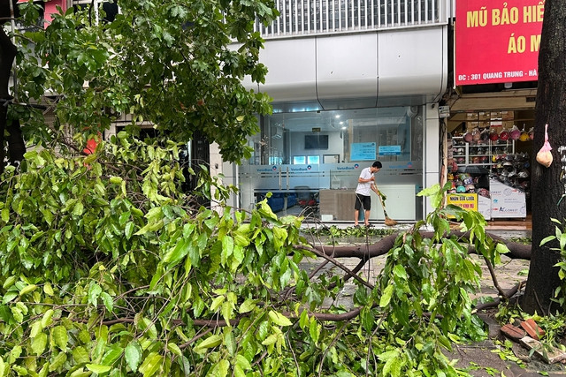 Cây đổ gãy sau mưa bão ở Hà Nội