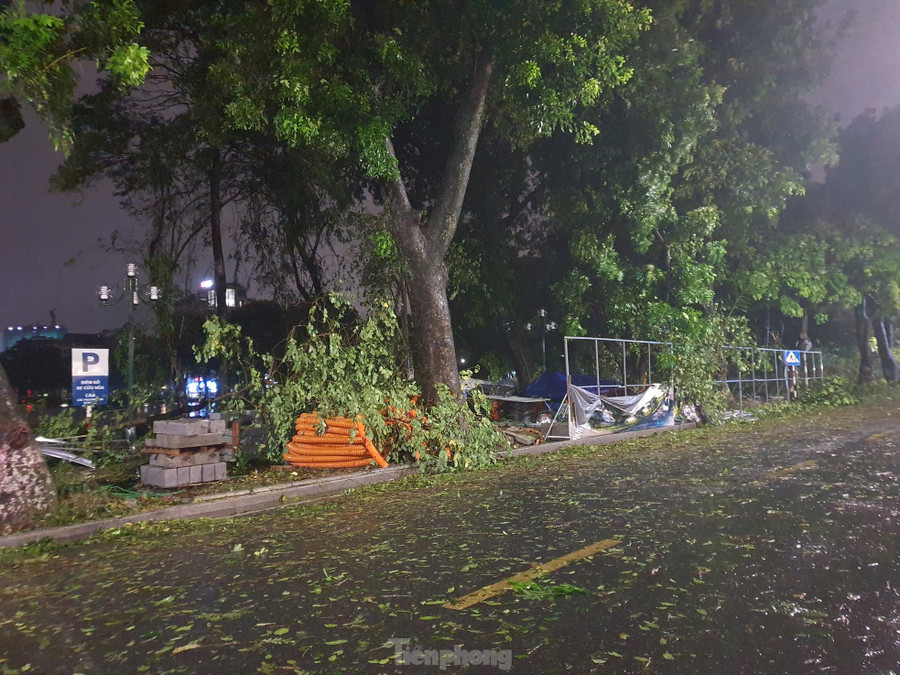 Ở phía mặt đường Trần Nhân Tông, gió bão cũng làm nhiều cây lớn xước cành.