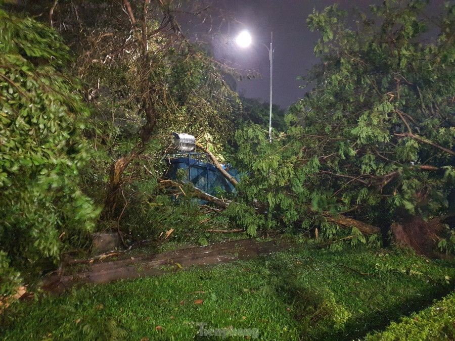 Cây lớn còn đổ đè lên bốt trực trong công viên.