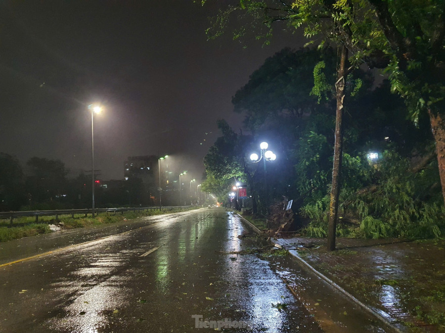 Công viên có diện tích hơn 50ha, với hàng vạn cây xanh nằm giữa 4 phố: Trần Nhân Tông, Lê Duẩn, Đại Cồ Việt và Nguyễn Đình Chiểu, có rất nhiều lối vào, trong đó cổng chính nằm bên mặt đường Trần Nhân Tông.