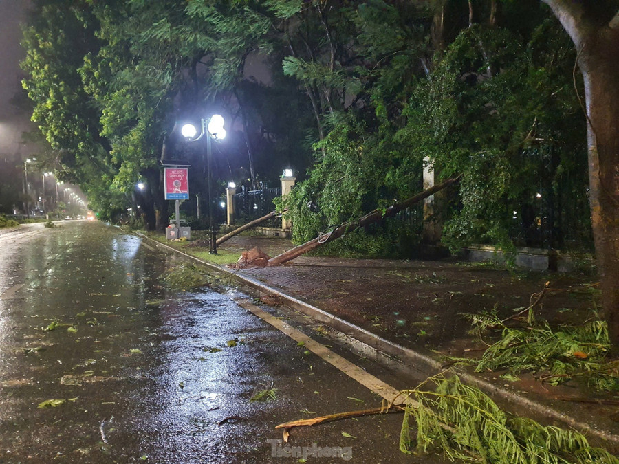 Từ lâu, công viên Thống Nhất được coi là &quot;lá phổi xanh&quot;, điểm đến thú vị để dạo chơi, hóng mát cũng như tập thể dục của người dân Thủ đô và du khách. Do đó, khung cảnh xác xơ của công viên giữa siêu bão, khiến nhiều người không khỏi xót xa.