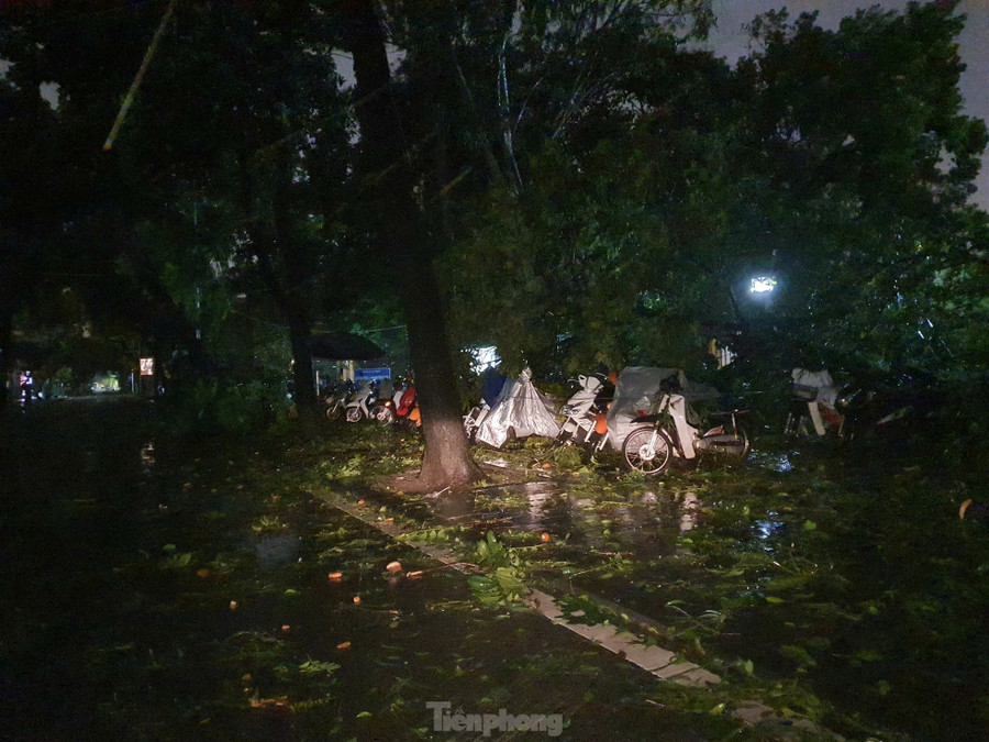 Tại khu vực vỉa hè công viên Thống Nhất, ở phía mặt đường Nguyễn Đình Chiểu, siêu bão đã khiến hàng loạt cây lớn đổ rạp, đè lên rất nhiều xe máy và ô tô để ở đây.