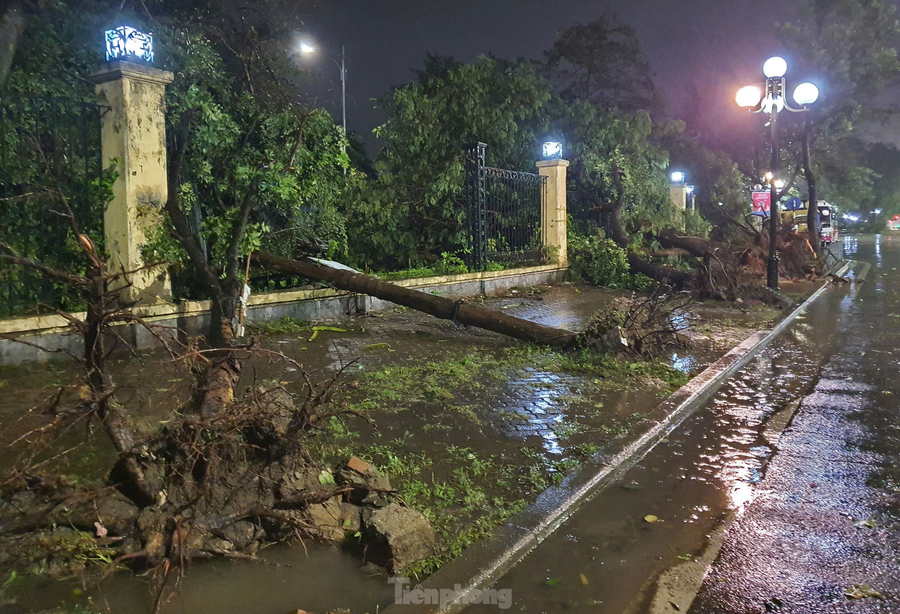 Ghi nhận tại công viên Thống Nhất (phường Phương Liên, quận Đống Đa) – công viên cây xanh biểu tượng của TP Hà Nội lúc 23h30 ngày 7/9 – 0h00 ngày 8/9, siêu bão đã khiến hơn nửa cây cổ thụ tại mặt đường Lê Duẩn bật gốc.