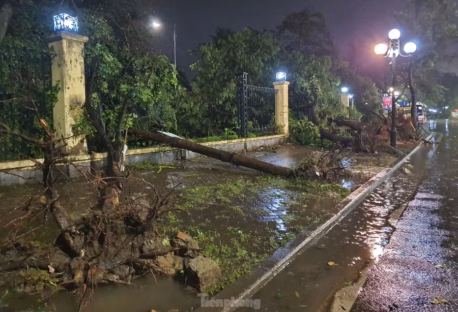 Ghi nhận tại công viên Thống Nhất (phường Phương Liên, quận Đống Đa) – công viên cây xanh biểu tượng của TP Hà Nội lúc 23h30 ngày 7/9 – 0h00 ngày 8/9, siêu bão đã khiến hơn nửa cây cổ thụ tại mặt đường Lê Duẩn bật gốc.