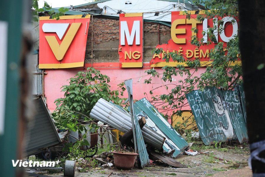 Hà Nội 'xơ xác' sau khi bão Yagi đổ bộ. (Ảnh: Hoài Nam/Vietnam+) Hà Nội 'xơ xác' sau khi bão Yagi đổ bộ. (Ảnh: Hoài Nam/Vietnam+)