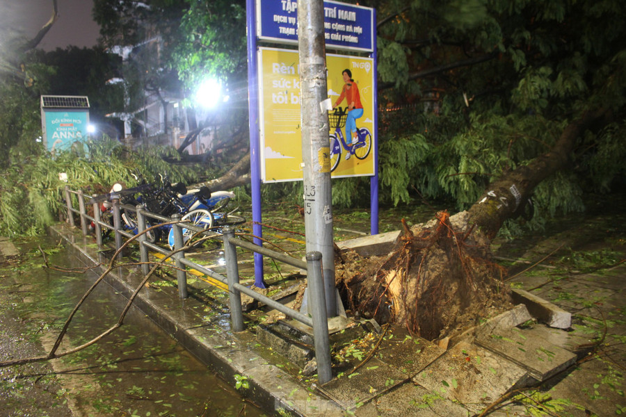 Trong ngày 7/9, nhiều tỉnh phía Bắc như Quảng Ninh, Hải Phòng đã hứng chịu những thiệt hại nặng nề về người và tài sản, do ảnh hưởng của siêu bão số 3 (YAGI). Tại Hà Nội, siêu bão đã phá hủy, làm hư hỏng nhiều công trình, nhà cửa và nhất là quật ngã la liệt cây cổ thụ trên hầu hết các tuyến đường.