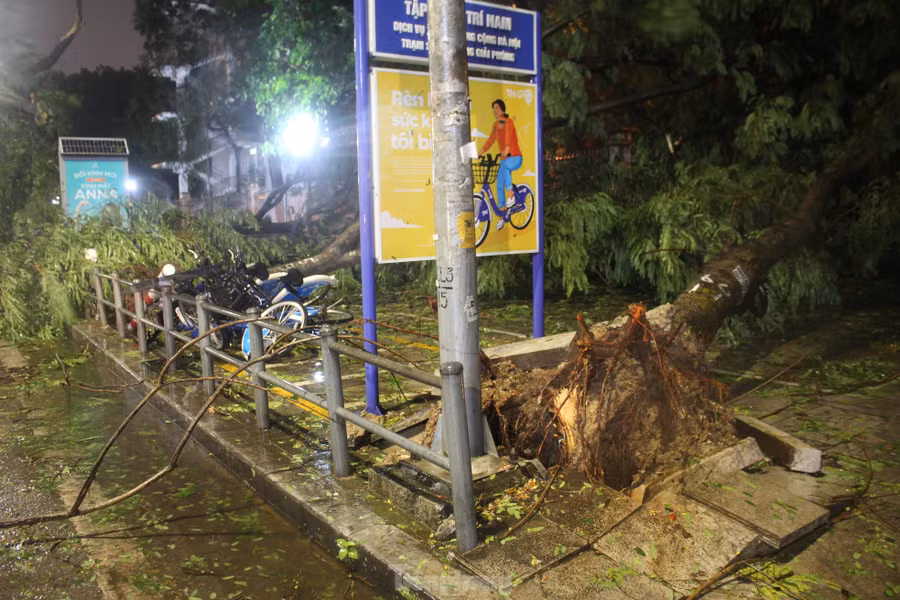 Trong ngày 7/9, nhiều tỉnh phía Bắc như Quảng Ninh, Hải Phòng đã hứng chịu những thiệt hại nặng nề về người và tài sản, do ảnh hưởng của siêu bão số 3 (YAGI). Tại Hà Nội, siêu bão đã phá hủy, làm hư hỏng nhiều công trình, nhà cửa và nhất là quật ngã la liệt cây cổ thụ trên hầu hết các tuyến đường.