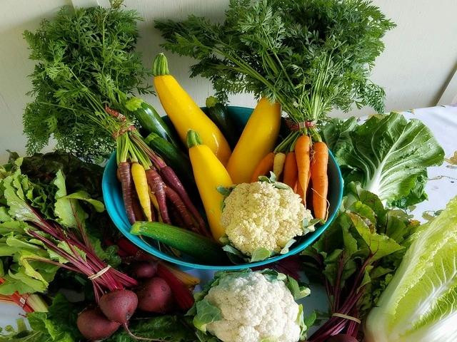 Ăn rau củ, trái cây giúp bạn cảm thấy no lâu hơn, giảm cảm giác thèm ăn và nguy cơ ăn quá nhiều Ăn rau củ, trái cây giúp bạn cảm thấy no lâu hơn, giảm cảm giác thèm ăn và nguy cơ ăn quá nhiều