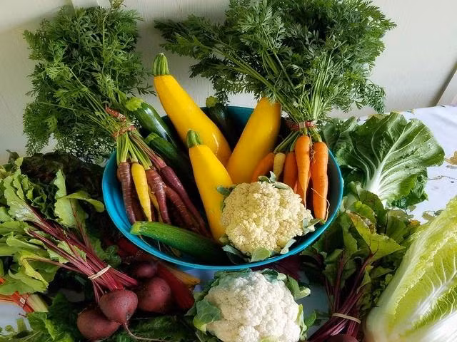 Ăn rau củ, trái cây giúp bạn cảm thấy no lâu hơn, giảm cảm giác thèm ăn và nguy cơ ăn quá nhiều