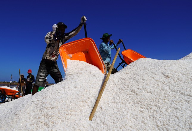 Diêm dân vất vả làm ra hạt muối nhưng giá cả bấp bênh